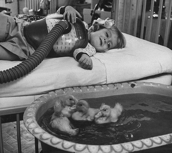 04-Animals-being-used-as-part-of-medical-therapy-1956