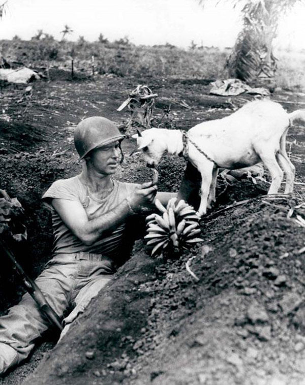 16-Soldier-shares-a-banana-with-a-goat-during-the-battle-of-Saipan-ca-1944