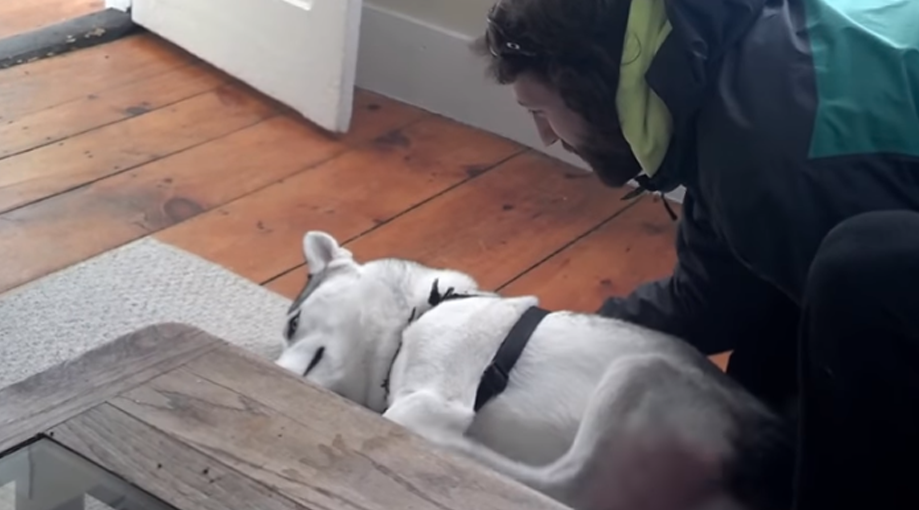 He tells his dog “It’s time to go to the kennel”… Now listen to how the