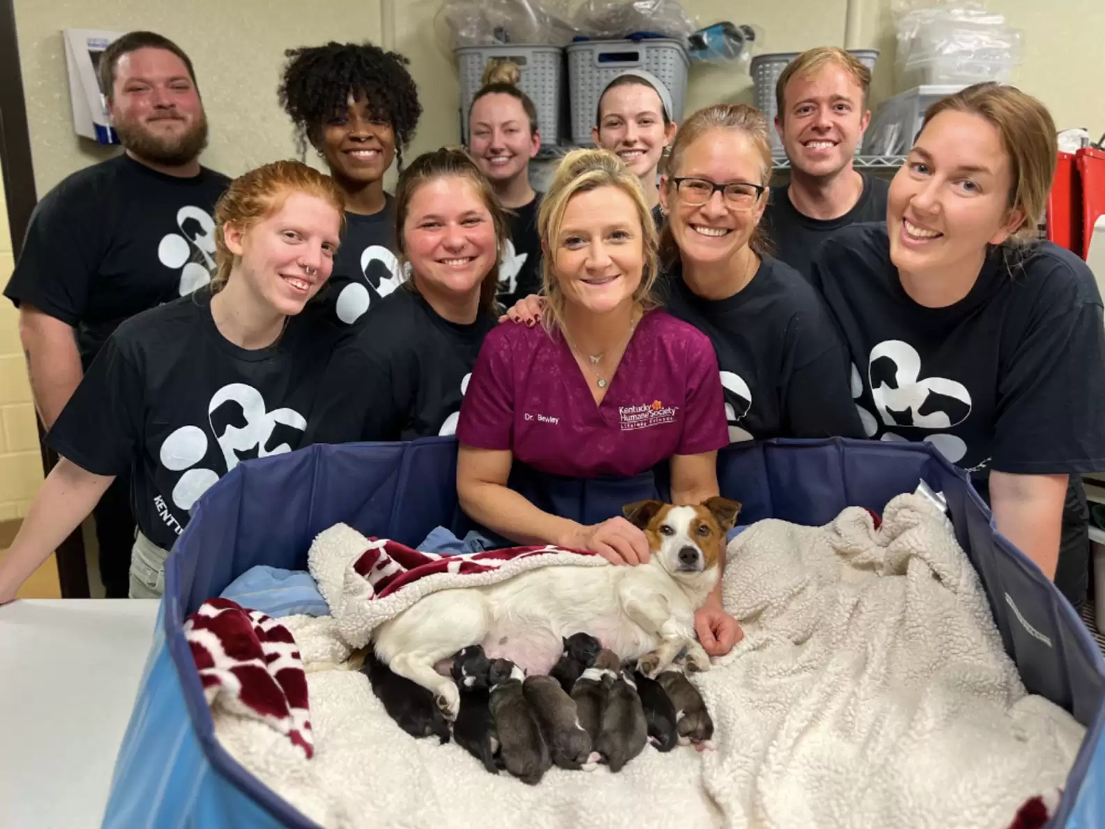 Tiny Pregnant Shelter Dog Melts Hearts Of The Vets By Giving Birth To ...